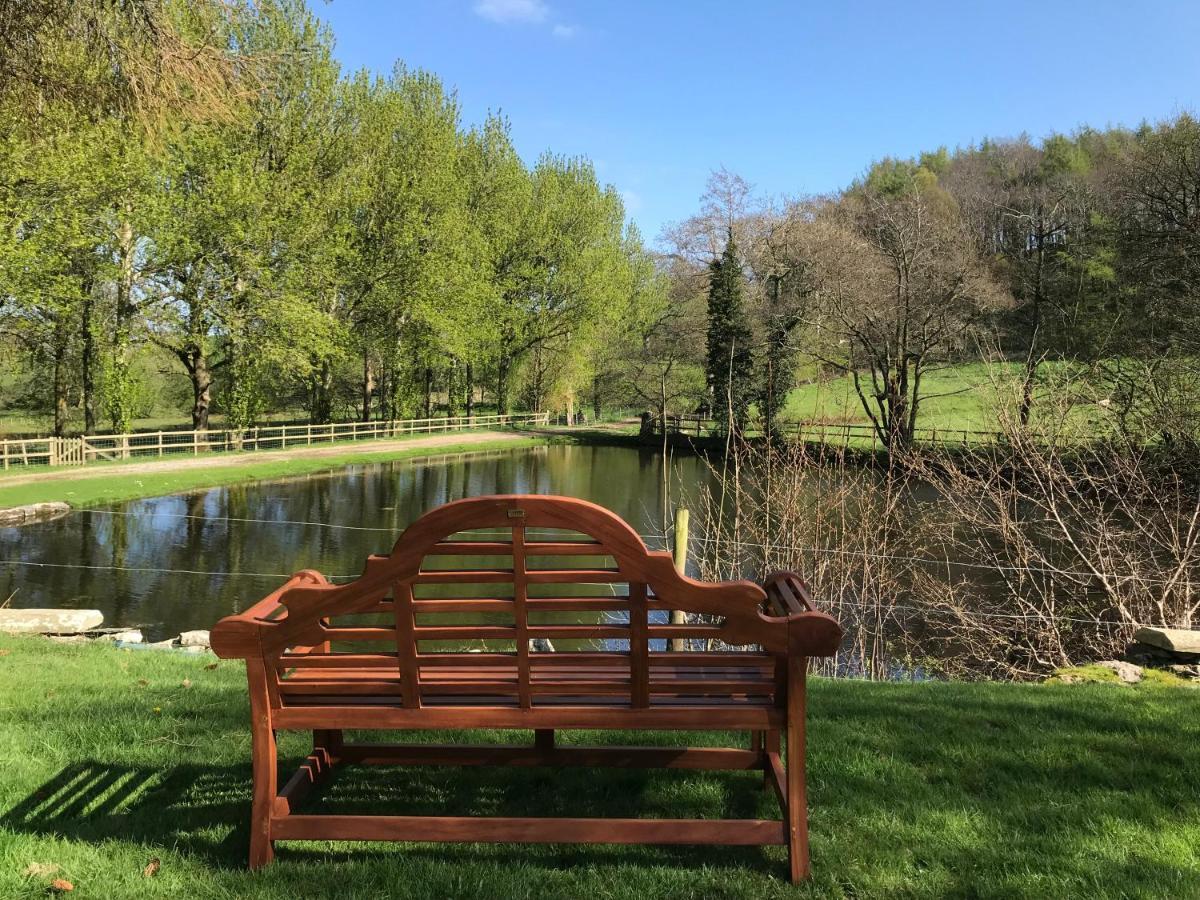 מולד Penbedw Uchaf Estate - Rural Retreats, Tennis מראה חיצוני תמונה