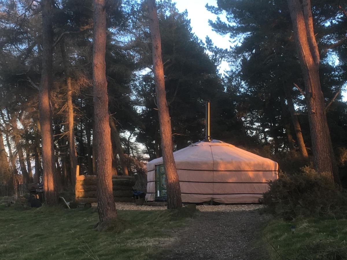 מולד Penbedw Uchaf Estate - Rural Retreats, Tennis מראה חיצוני תמונה