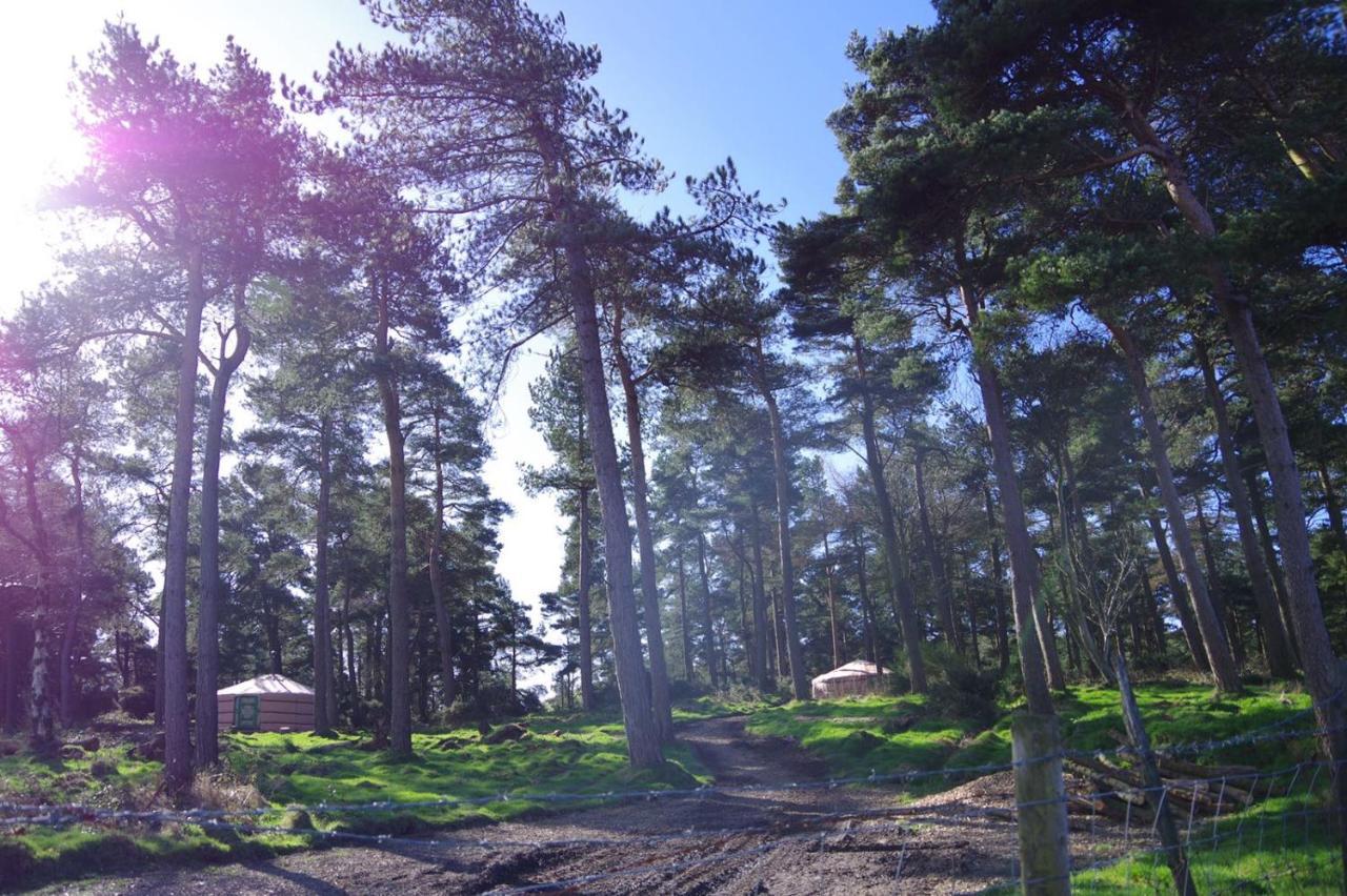 מולד Penbedw Uchaf Estate - Rural Retreats, Tennis מראה חיצוני תמונה