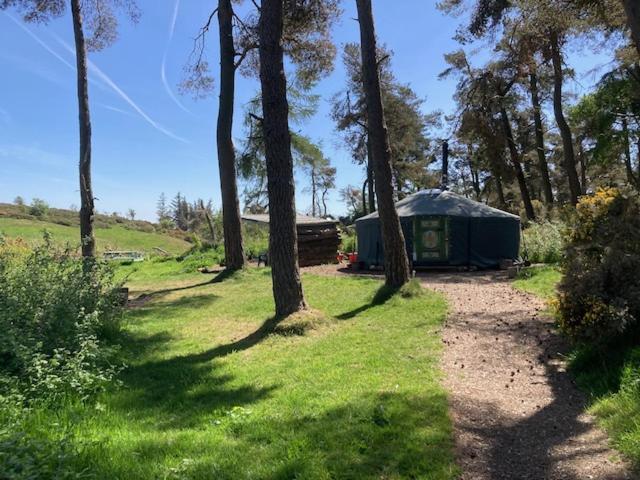 מולד Penbedw Uchaf Estate - Rural Retreats, Tennis מראה חיצוני תמונה