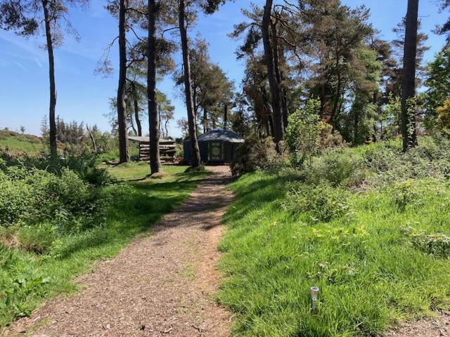 מולד Penbedw Uchaf Estate - Rural Retreats, Tennis מראה חיצוני תמונה